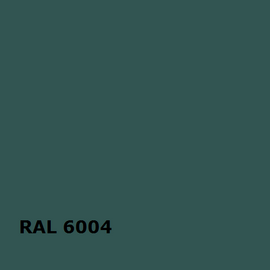 RAL 6004 | RAL