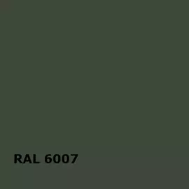 RAL RAL 6007