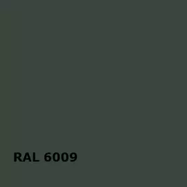 RAL 6009 | RAL