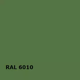 RAL RAL 6010