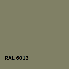RAL 6013 | RAL