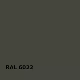 RAL RAL 6022