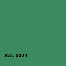 RAL 6024 | RAL
