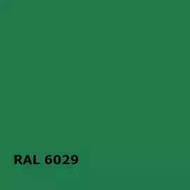 RAL RAL 6029