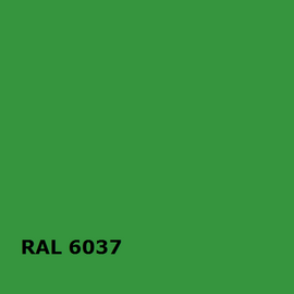 RAL RAL 6037