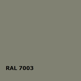 RAL 7003 | RAL