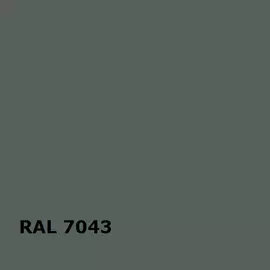 RAL 7043 | RAL