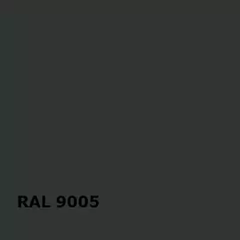 RAL RAL 9005