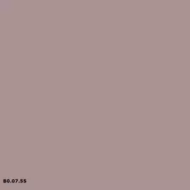 B0.07.55 | Sikkens
