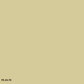 Sikkens F9.20.70