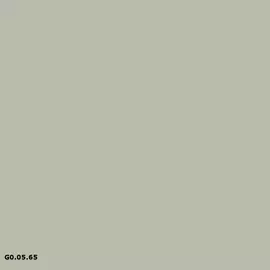 Sikkens G0.05.65