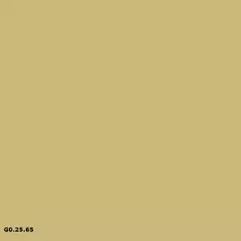 Sikkens G0.25.65