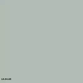 Sikkens L0.04.65