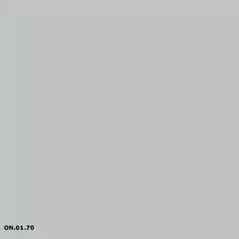 ON.01.70 Salon grey | Sikkens