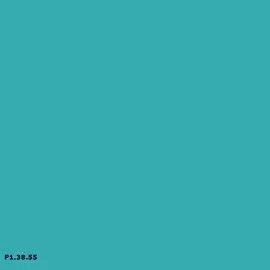 Sikkens P1.38.55