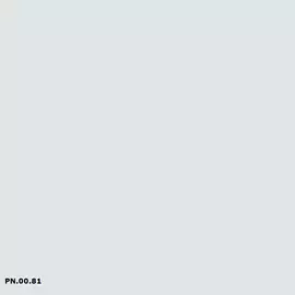 Sikkens PN.00.81