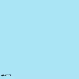 Q9.17.75 | Sikkens