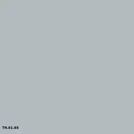 Sikkens TN.01.65