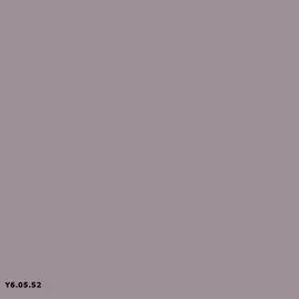 Y6.05.52 | Sikkens