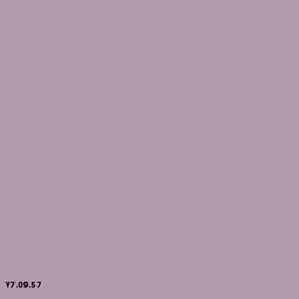 Sikkens Y7.09.57