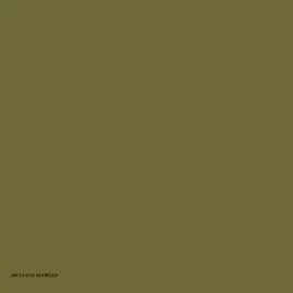 ABITA 0195 SEAWEED