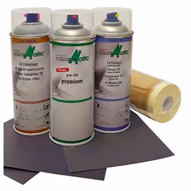 Auto Spraydose maßgeschneiderte - Premium Pack, Pack: Premium