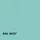 RAL RAL 6027 RAL RAL 6027