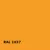RAL 1037 | RAL