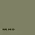 RAL 6013 | RAL