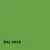 RAL 6018 | RAL