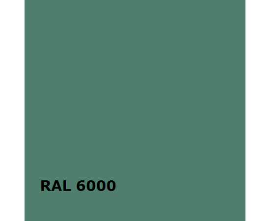 RAL RAL 6000