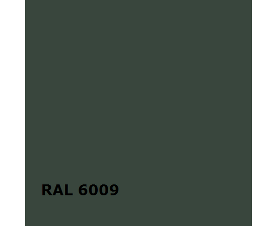 RAL RAL 6009