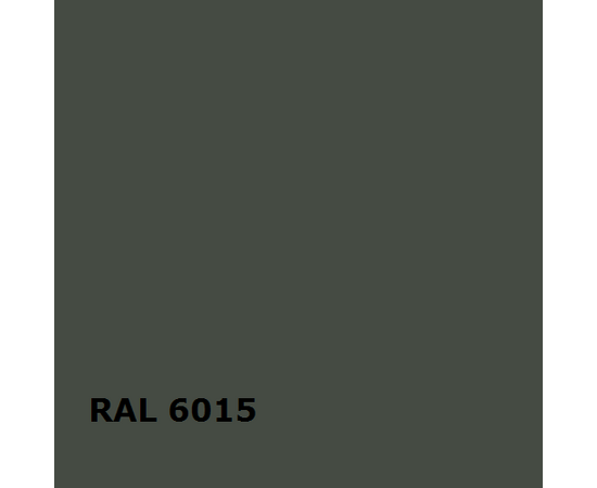 RAL 6015 | RAL