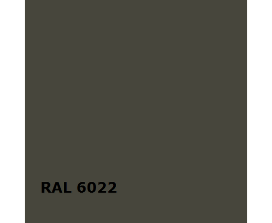 RAL RAL 6022