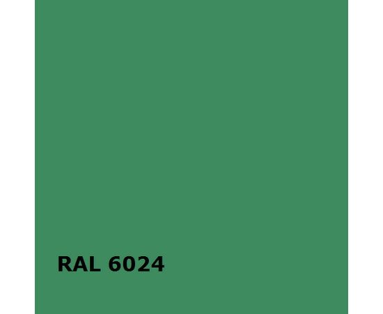 RAL RAL 6024