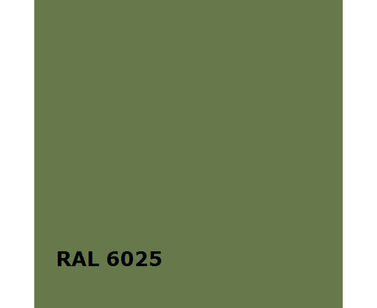 RAL RAL 6025