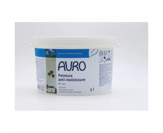 Anti-mold paint n°327, Packaging: 5 Ltr