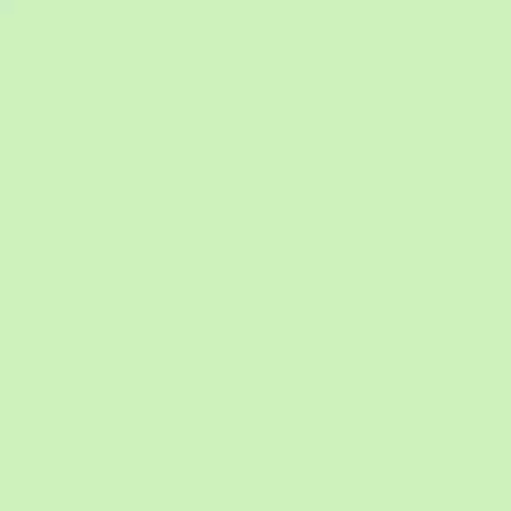 S 0530-G20Y | NCS