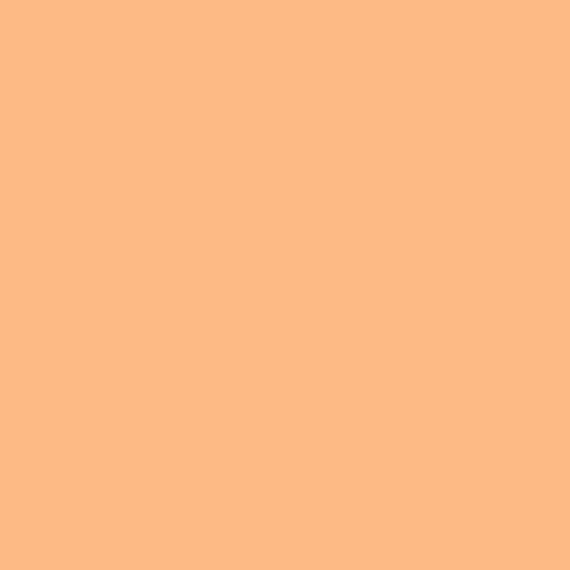 S 0540-Y40R | NCS