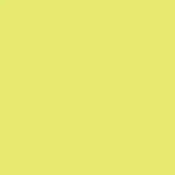 S 0550-G60Y | NCS