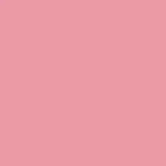 S 0550-R10B | NCS