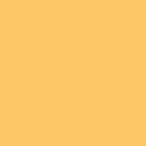 S 0550-Y20R | NCS