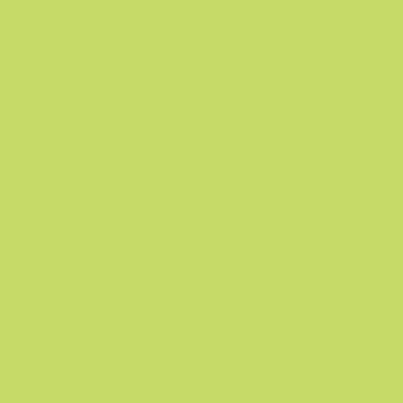 S 0560-G40Y | NCS