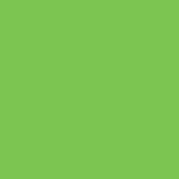 S 0575-G20Y | NCS