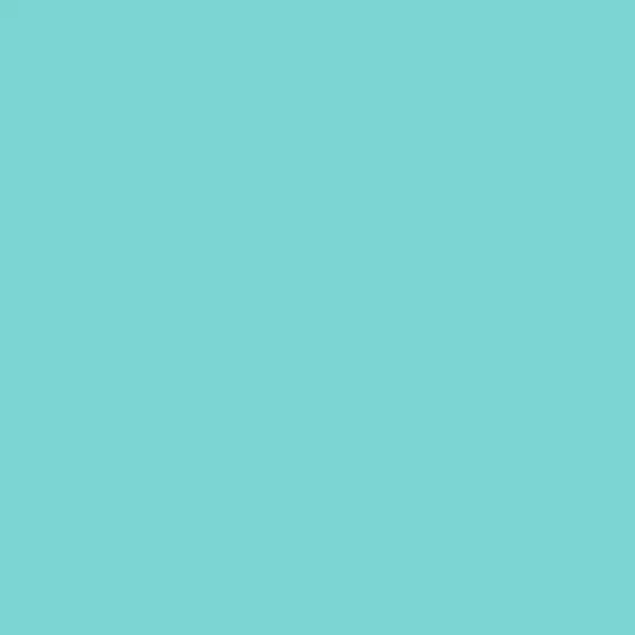 S 1040-B40G | NCS