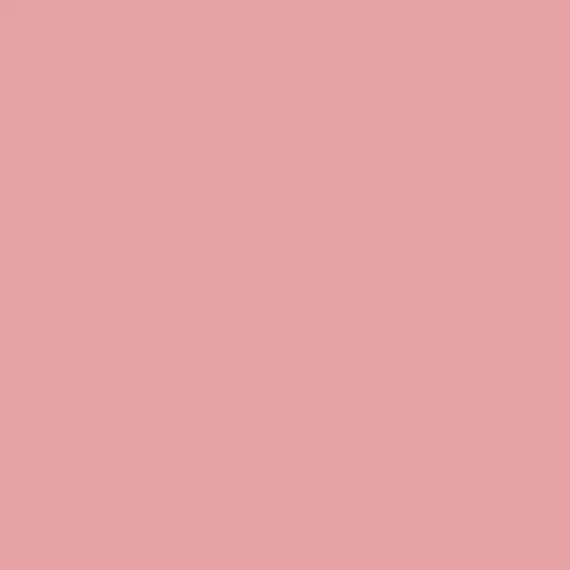 S 1040-R | NCS