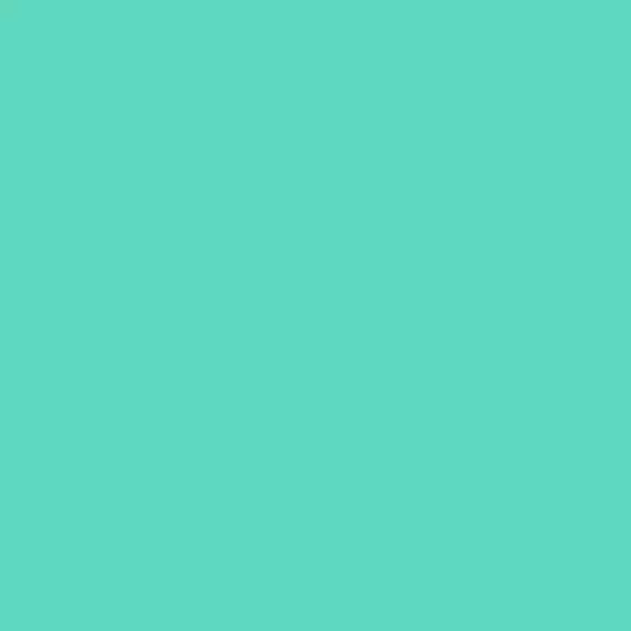 S 1050-B70G | NCS