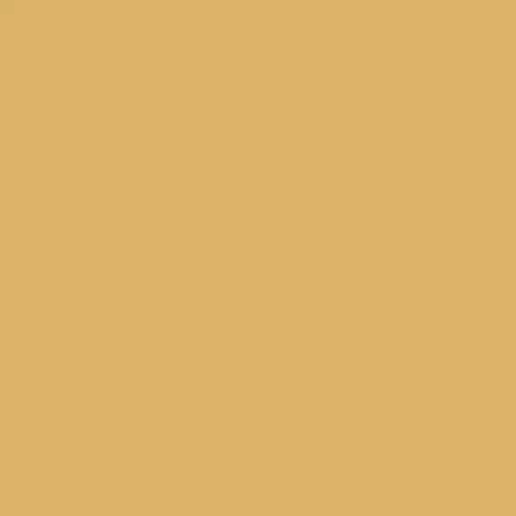 S 2040-Y10R | NCS