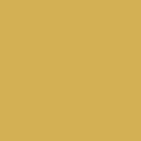 S 2050-Y | NCS