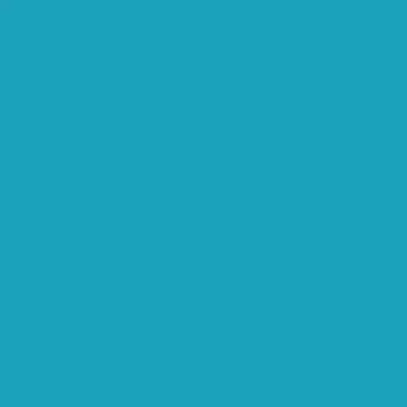 S 2055-B10G | NCS
